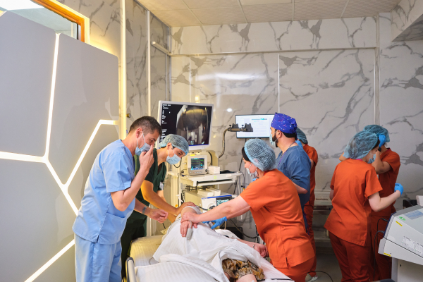  Services: Gastroenterologist